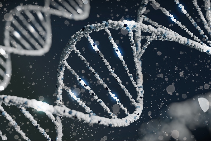 RNase R